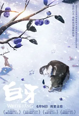 久草免费新视频